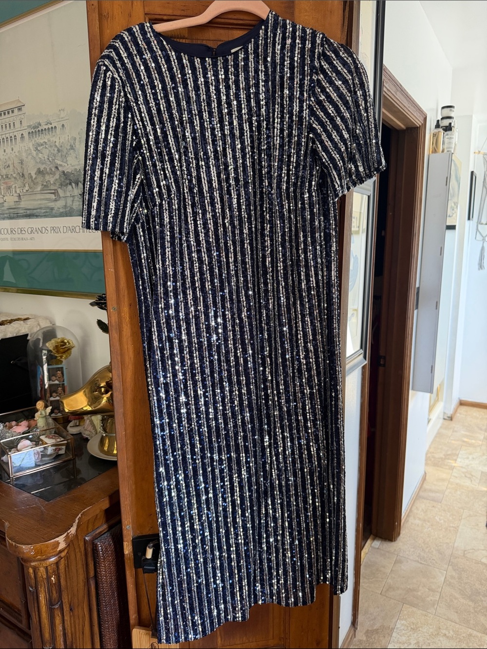 Anthropologie Navy and Silver Sequin Stripe Midi Dress
